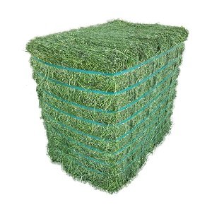 Alfalfa Hay